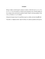 Prakses atskaite 'Tjuringa mašīna', 8.