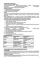 Konspekts 'Propedeitika', 2.