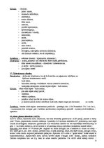 Konspekts 'Propedeitika', 35.