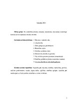 Konspekts 'Sociālās rehabilitācijas plāns sievietēm, kuras cietušas no vardarbības ģimenē', 2.