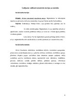 Konspekts 'Sociālās rehabilitācijas plāns sievietēm, kuras cietušas no vardarbības ģimenē', 6.