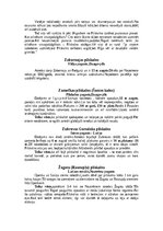 Konspekts 'Pilskalni Latgalē', 18.