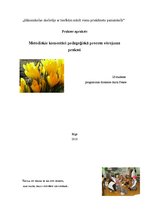 Prakses atskaite 'Prakse atskaite', 25.