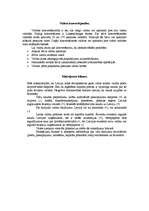 Konspekts 'Valūta, valūtu kurss', 3.