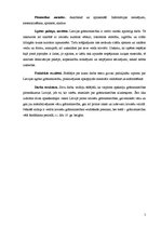 Referāts 'Grāmatniecības pirmsākumi Latvijā', 5.