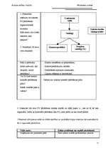 Prakses atskaite 'Pārdošanas prakses atskaite', 13.