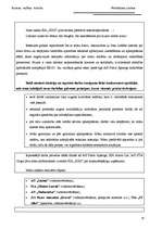 Prakses atskaite 'Pārdošanas prakses atskaite', 30.