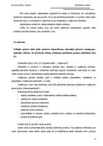 Prakses atskaite 'Pārdošanas prakses atskaite', 39.