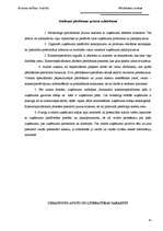 Prakses atskaite 'Pārdošanas prakses atskaite', 41.