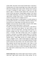 Referāts 'Otrais pūniešu karš un kauja pie Kannām', 4.