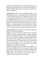 Referāts 'Otrais pūniešu karš un kauja pie Kannām', 5.