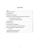 Referāts 'Kibernoziegumi', 2.