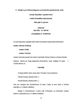 Referāts 'Kibernoziegumi', 20.