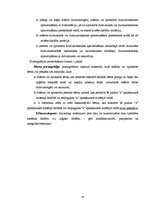 Referāts 'Kibernoziegumi', 26.