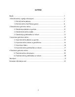 Referāts 'Politisko režīmu salīdzinošā analīze', 2.