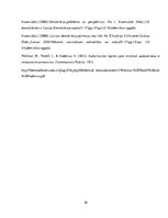 Referāts 'Politisko režīmu salīdzinošā analīze', 26.