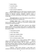 Referāts 'Gada pārskata sagatavošana un tā saturu reglamentējošie normatīvie akti', 17.