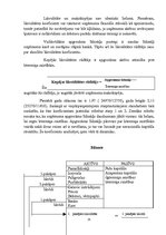 Referāts 'Gada pārskata sagatavošana un tā saturu reglamentējošie normatīvie akti', 24.