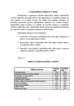 Referāts 'Gada pārskata sagatavošana un tā saturu reglamentējošie normatīvie akti', 28.