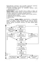 Referāts 'Budžetu sastādīšana un kontrole kā operatīvā kontrolinga instruments', 6.