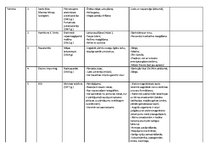 Konspekts '20.gadsimta izgudrojumi', 4.