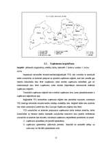 Referāts 'Valsts darba inspekcija', 17.