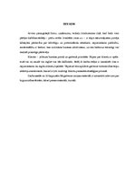 Referāts 'Klienta - pircēja piesaistīšanas stratēģija', 3.