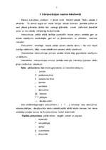 Referāts 'Interpunkcija', 2.