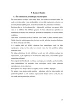 Referāts 'Koka izstrādājumu ražošana', 25.