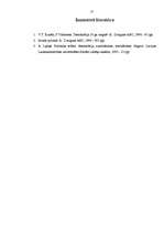 Referāts 'Parlamentāra republika, tās būtība un pazīmes', 13.