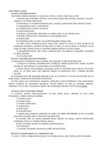 Paraugs 'Autorlīgums', 4.