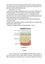 Referāts 'Ādas estētisko problēmu risinājumi ar mikrodermabrāziju', 6.