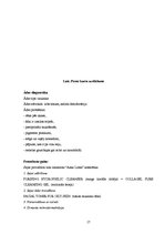 Referāts 'Ādas estētisko problēmu risinājumi ar mikrodermabrāziju', 17.