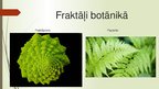 Prezentācija 'Fraktāļi', 5.