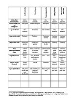 Paraugs 'Tabula saistību tiesībās par atsevišķu līgumu iezīmēm', 1.