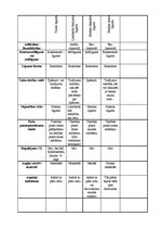 Paraugs 'Tabula saistību tiesībās par atsevišķu līgumu iezīmēm', 2.