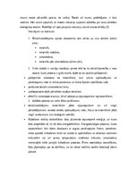 Eseja 'Tekstila izstrādājumu ražošanas ilgtspēja - veicinot aprites ekonomikas attīstīb', 9.