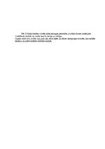 Referāts 'Zigmunda Freida psihoseksuālās attīstības stadijas', 5.