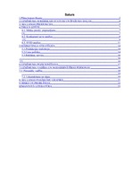 Biznesa plāns 'Biznesa plāns SIA "Lango"', 1.