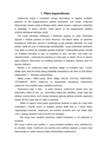 Biznesa plāns 'Biznesa plāns SIA "Lango"', 2.