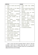 Biznesa plāns 'Biznesa plāns SIA "Lango"', 12.