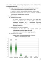 Biznesa plāns 'Biznesa plāns SIA "Lango"', 15.