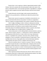 Referāts 'Personāla atlase un adaptācija SIA "X"', 5.