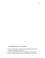 Referāts 'Personāla atlase un adaptācija SIA "X"', 22.