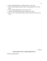 Referāts 'Personāla atlase un adaptācija SIA "X"', 23.