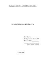 Prakses atskaite 'Prakses dienasgrāmata', 1.