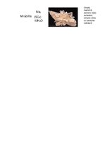 Konspekts 'Izplatītākie minerāli', 9.