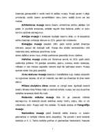 Referāts 'Zviedrija', 7.