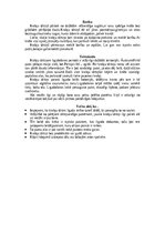 Referāts 'Tārtiņu dzimta', 7.