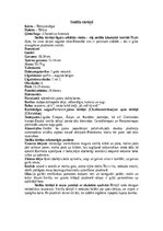 Referāts 'Tārtiņu dzimta', 11.